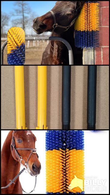 Horse Pony Wall Mount Scratching Brush, Scratching Brush, Hoganess, Tack Room & Stable Supplies, Shetland , Image 4