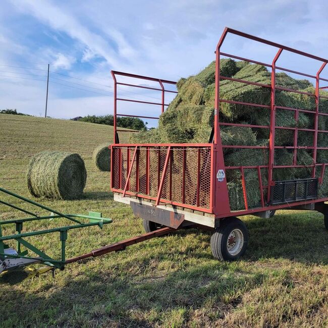 Horse quality Alfalfa, Timothy and Orchard grass, Alfalfa hay, Southeast family farm, Hay & Straw, Chris McCall, Image 2