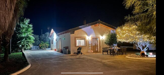 Pferdefinca bei Valencia, Lizenz für 35 Pferde, ideal als Reha- und Therapiezentrum, 1 ha, Pool, Post-Your-Horse.com (Caballoria S.L.), Equestrian Properties, Rafelguaraf