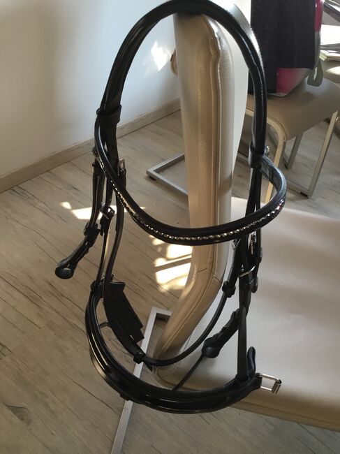 Pferde- und Reiterbedarf, Stübben Vielseitigkeitssattel, Carmen Strehle Schuler, All Purpose Saddle, Königsbrunn bei Augsburg, Image 8