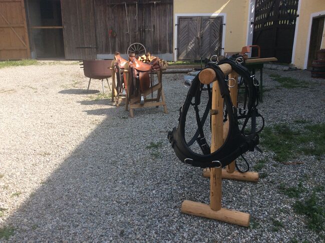 Reitbeteiligung in St. Georgen am Fillmannsbach, eigene Pferde Quarter Horse, Stecken Bach, Horse Sharing, Handenberg, Image 6