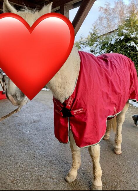 Pferdedecke Horseware Amigos, Horseware Amigos Pferdedecke Regendecke Übergangsdecke, Katharina Leis, Horse Blankets, Sheets & Coolers, Schwarzenbach