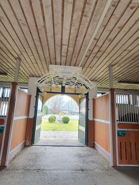 Pferdesolarium / Pferde-Besonnungsanlage "TURNIER 2", WEINSBERGER TURNIER 2, WEINSBERGER S.K. (WEINSBERGER S.K. UG), Tack Room & Stable Supplies, Bretzfeld