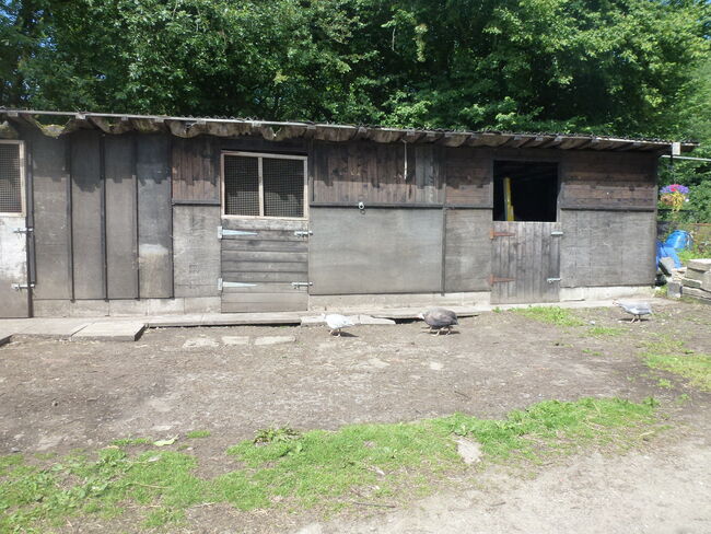 Horse Stables For Sale, tottington, bury., jason briggs, Horse Stables, bury, Image 10