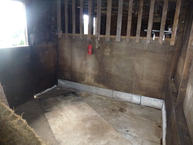 Horse Stables For Sale, tottington, bury., jason briggs, Horse Stables, bury, Image 12