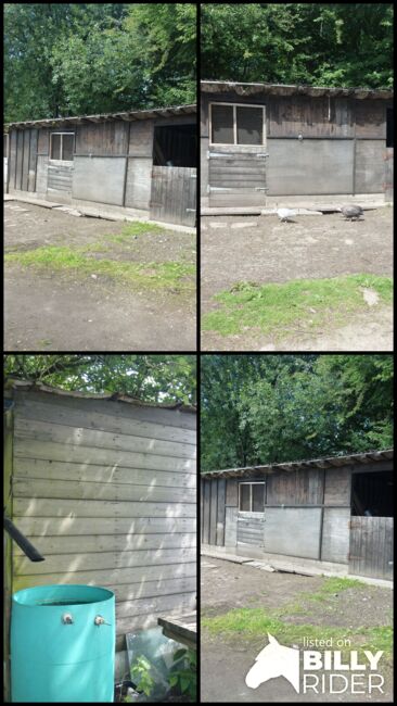 Horse Stables For Sale, tottington, bury., jason briggs, Horse Stables, bury, Image 13