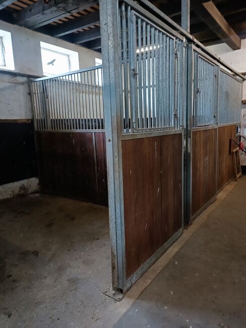 Pferdeboxen Boxenelemente, Zara Dogan, Horse Stables, GSCHWEND, Image 7