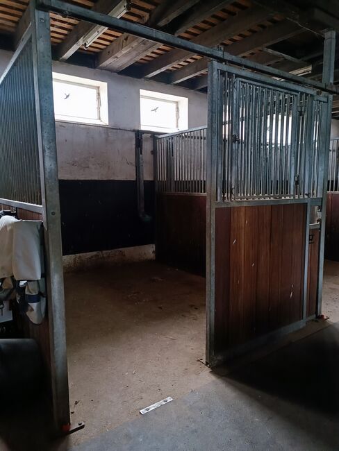 Pferdeboxen Boxenelemente, Zara Dogan, Horse Stables, GSCHWEND, Image 8