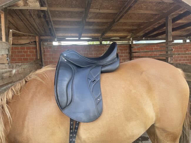 Horse Star Champion inkl. Lakdetails 17, Horse Star Champion, Elisa , Dressage Saddle, Duisburg , Image 7