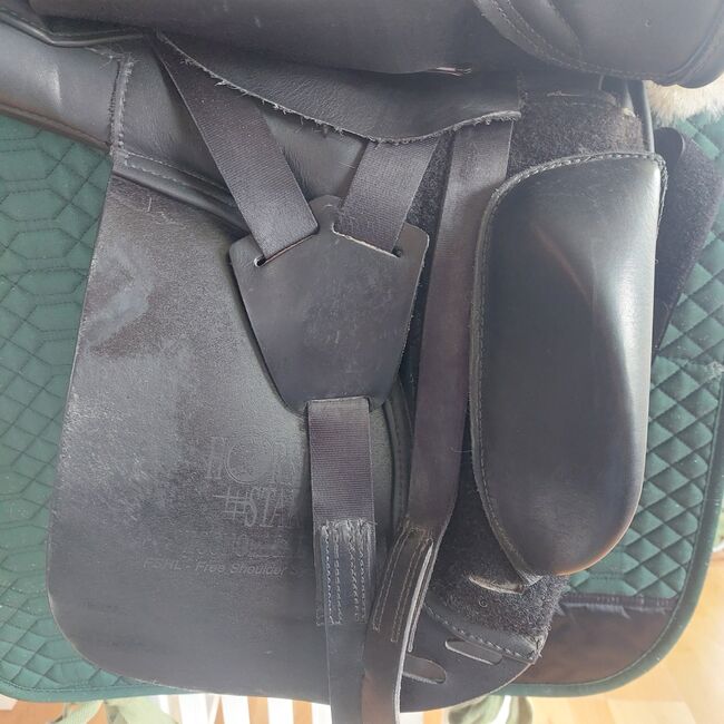 Horse Star Economical Dressursattel, Horse Star Economical, Jennifer Marsic, Dressage Saddle, Wiehl, Image 17