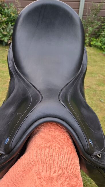 Horse Star Revolution Dressursattel 17,5, Horsestar Revolution, Alexandra Saal, Dressage Saddle, Hamminkeln , Image 4