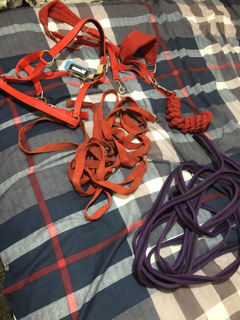 Horse stuff for sale, Emma, Saddle Accessories, Newtownards , Image 9