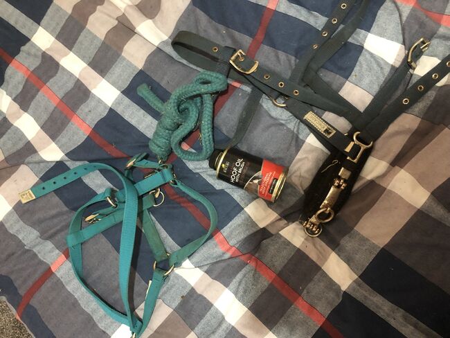 Horse stuff for sale, Emma, Saddle Accessories, Newtownards , Image 4