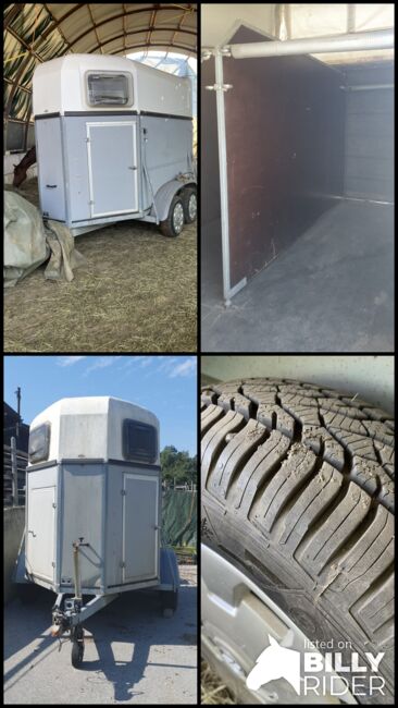 Pferdeanhänger 2-er Hänger Pferdetransporter Böckmann, Böckmann , Verena Moser, Horse Trailers, Hauzenberg , Image 5