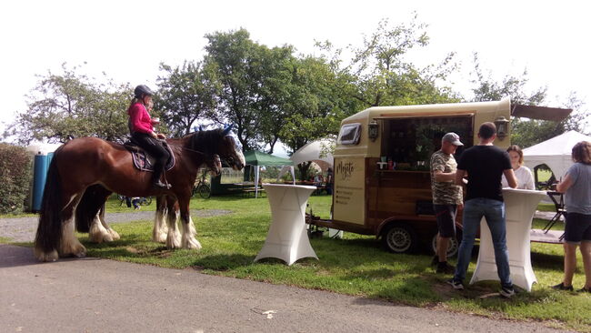 Pferdeanhänger Bar komplett Umbau Cocktailbar & Wein, Verschiedene , Mathias Dörr, Horse Trailers, Nidderau, Image 4