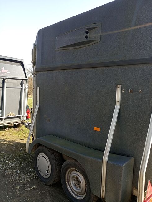Pferdeanhänger Vollpoly Kunststoffboden, Alf, Jo Anna, Horse Trailers, Dinslaken