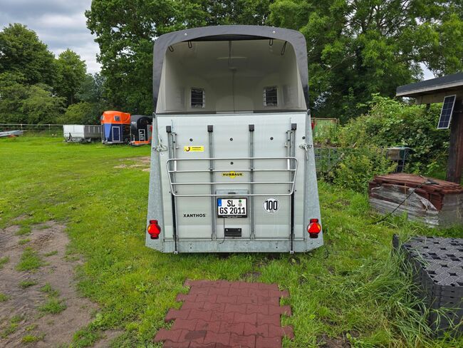 Pferdeanhänger Humbauer Xanthos wenig gegenutzt, Humbauer Xanthos, Schurek, Horse Trailers, Wanderup , Image 7