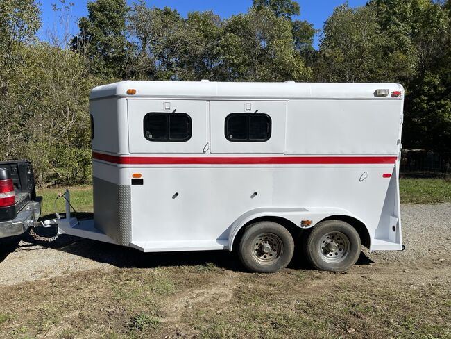 Horse trailer painting, Beth, Other, Primm Springs, Image 9