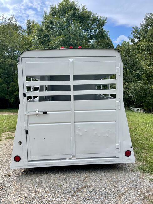 Horse trailer painting, Beth, Other, Primm Springs, Image 7