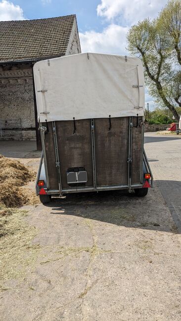 Pferdehänger, Patti, Horse Trailers, Witten, Image 2