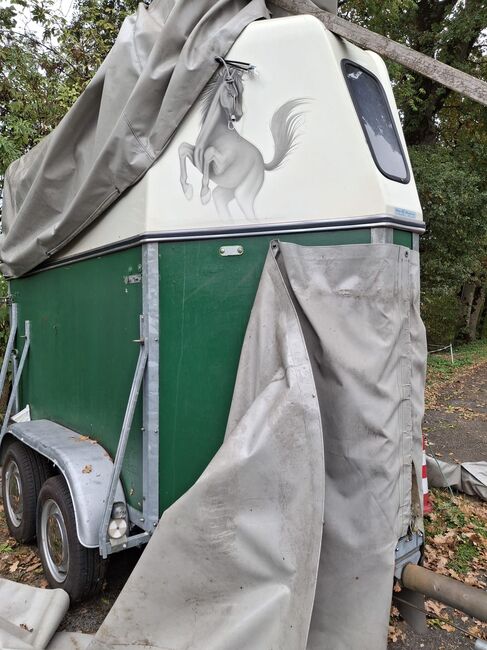 Pferdeanhänger, Barthau GV 1302 GV 1302, Laura, Horse Trailers, Oftringen
