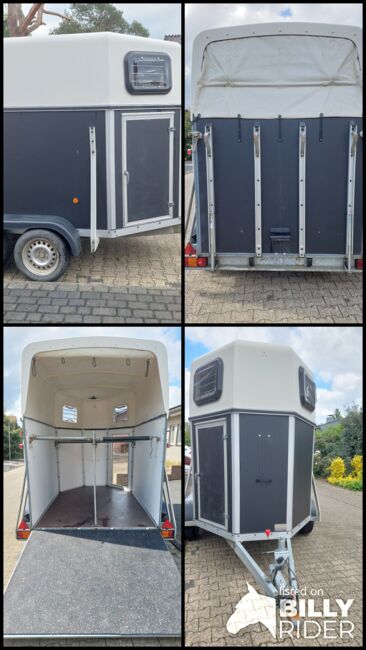 Pferdeanhänger, Blomert, Samira Hintzen , Horse Trailers, Selfkant, Image 5