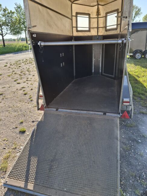Pferdeanhänger, Böckmann Anhänger, Schwechel, Horse Trailers, Kraichtal, Image 5