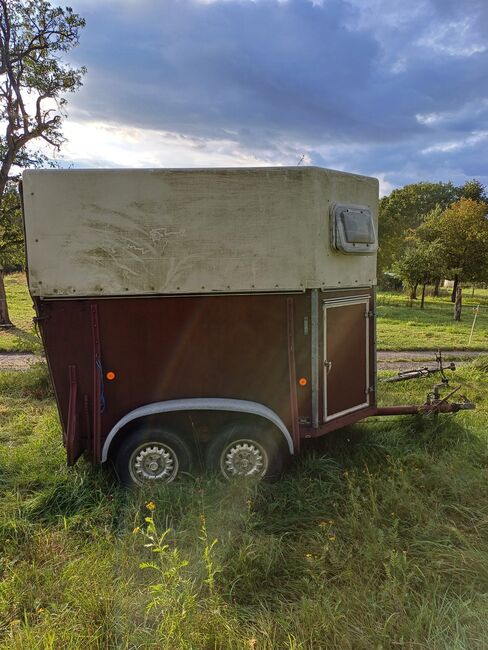 Pferdeanhänger, Eileiter Duis D10, Katharina Weilguny, Horse Trailers, Darmstadt, Image 10