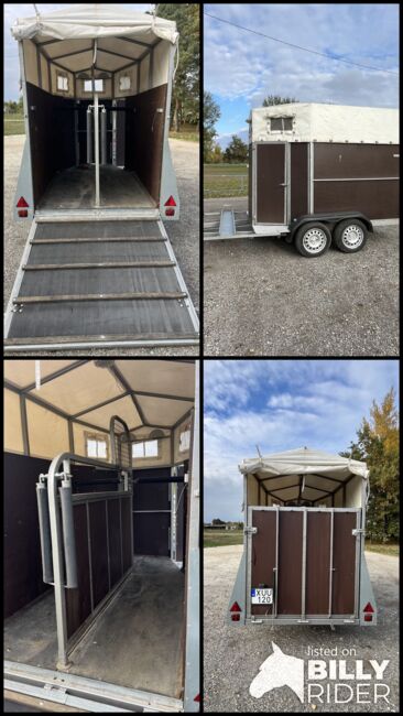 Pferdeanhänger, KICSINY KARANCS, Kristóf Nyerges, Horse Trailers, Kapuvár, Image 9
