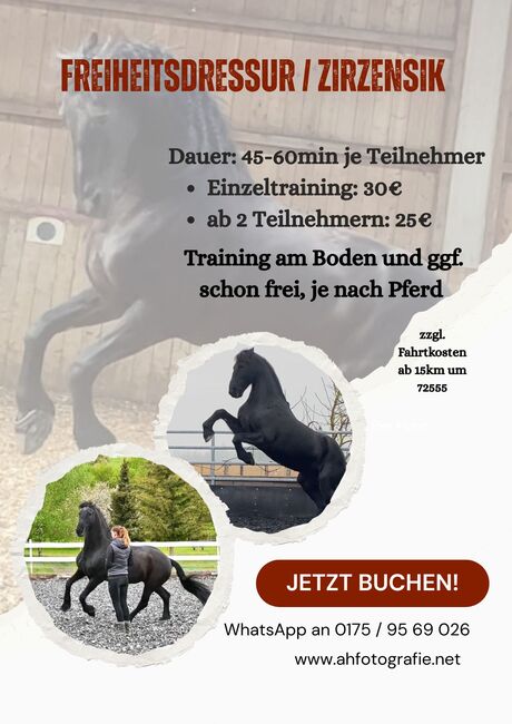 Pferdetraining, Hängertraining, Freiarbeit, Gelassenheitstraining, Wippentraining, Anna Hense, Riding Lessons, Metzingen