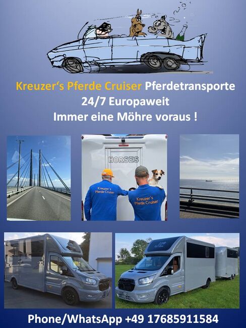 Pferdetransporte 24/7, Kreuzer's Pferde Cruiser , Transport, Weilrod, Image 2