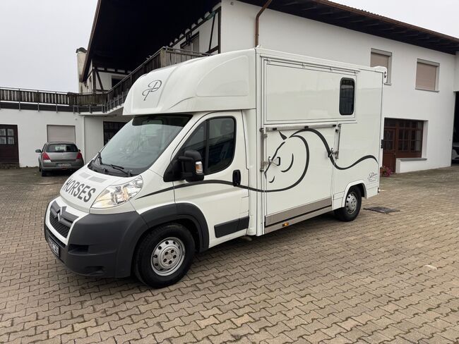 Pferdetransporter 2 Seitenrampen Nur 20500KM Viehtransporter Tiertransporter, Dickenherr Dickenherr 2 Ride , Gerhard Strobel (Dickenherr Trucks und Trailers), Horse Trailers, Baden-Württemberg - Unterschneidheim, Image 9
