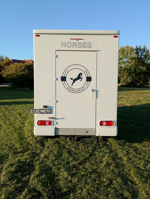 Pferdetransporter Tiertransporter Viehtransporter Nuyts Renault Master 80.000KM Klima, Renault Master Nuyts, Gerhard Strobel (Dickenherr Trucks und Trailers), Horse Trailers, Baden-Württemberg - Unterschneidheim, Image 5