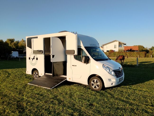 Pferdetransporter Tiertransporter Viehtransporter Nuyts Renault Master 80.000KM Klima, Renault Master Nuyts, Gerhard Strobel (Dickenherr Trucks und Trailers), Horse Trailers, Baden-Württemberg - Unterschneidheim, Image 9