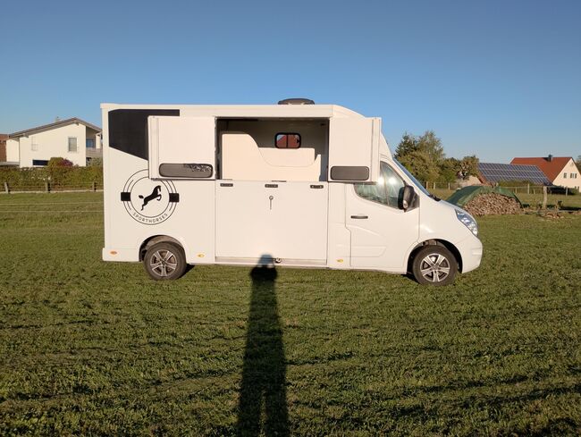 Pferdetransporter Tiertransporter Viehtransporter Nuyts Renault Master 80.000KM Klima, Renault Master Nuyts, Gerhard Strobel (Dickenherr Trucks und Trailers), Horse Trailers, Baden-Württemberg - Unterschneidheim, Image 12