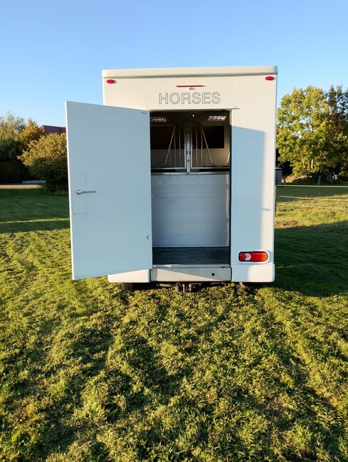 Pferdetransporter Tiertransporter Viehtransporter Nuyts Renault Master 80.000KM Klima, Renault Master Nuyts, Gerhard Strobel (Dickenherr Trucks und Trailers), Horse Trailers, Baden-Württemberg - Unterschneidheim, Image 16
