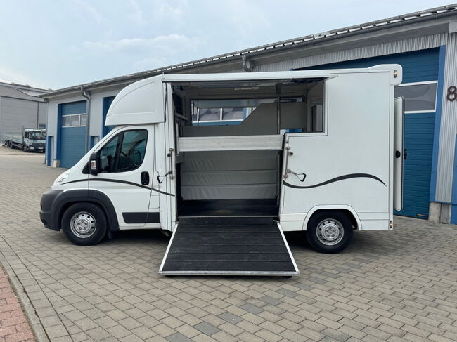 Pferdetransporter Citroen  2 Seitenrampen 180 PS Viehtransporter, Citroen Jumper Dickenherr 2 Ride , Gerhard Strobel (Dickenherr Trucks und Trailers), Horse Trailers, Baden-Württemberg - Unterschneidheim, Image 9