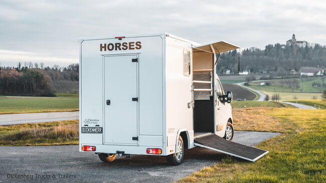 Pferdetransporter-DT 2-Ride Renault Master light 3,5t Neufahrzeug, Dickenherr 2 Ride light Dickenherr 2 Ride light, Gerhard Strobel (Dickenherr Trucks und Trailers), Horse Trailers, Baden-Württemberg - Unterschneidheim, Image 6