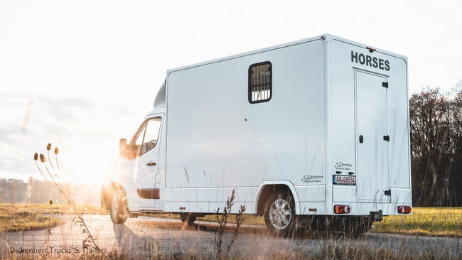 Pferdetransporter-DT 2-Ride Renault Master light 3,5t Neufahrzeug, Dickenherr 2 Ride light Dickenherr 2 Ride light, Gerhard Strobel (Dickenherr Trucks und Trailers), Horse Trailers, Baden-Württemberg - Unterschneidheim, Image 13