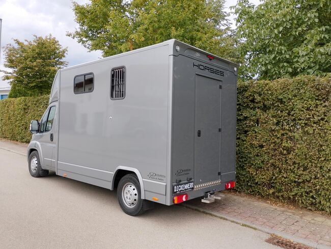 Pferdetransporter DT Citroen Jumper Hengstausstattung 165PS Klima Viehtransporter, Dickenherr Dickenherr 2 Ride , Gerhard Strobel (Dickenherr Trucks und Trailers), Horse Trailers, Baden-Württemberg - Unterschneidheim, Image 6