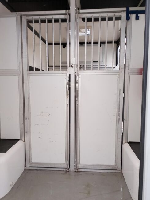 Pferdetransporter Renault 3,5t Hengstausstattung Viehtransporter, Renault Master Renault Master Hengst, Gerhard Strobel (Dickenherr Trucks und Trailers), Horse Trailers, Baden-Württemberg - Unterschneidheim, Image 3