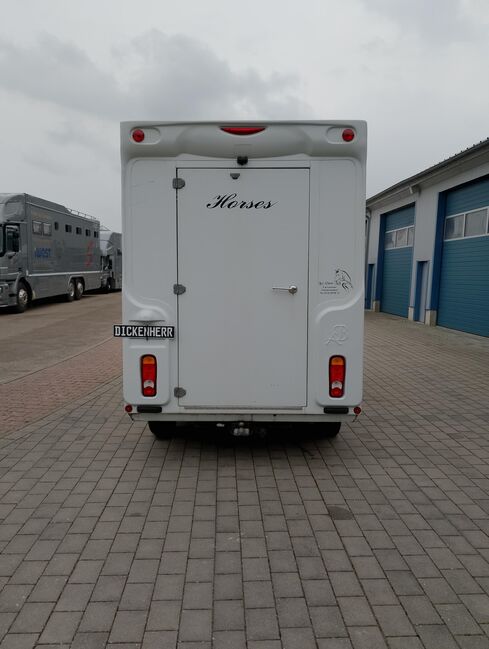 Pferdetransporter Renault 3,5t Hengstausstattung Viehtransporter, Renault Master Renault Master Hengst, Gerhard Strobel (Dickenherr Trucks und Trailers), Horse Trailers, Baden-Württemberg - Unterschneidheim, Image 4