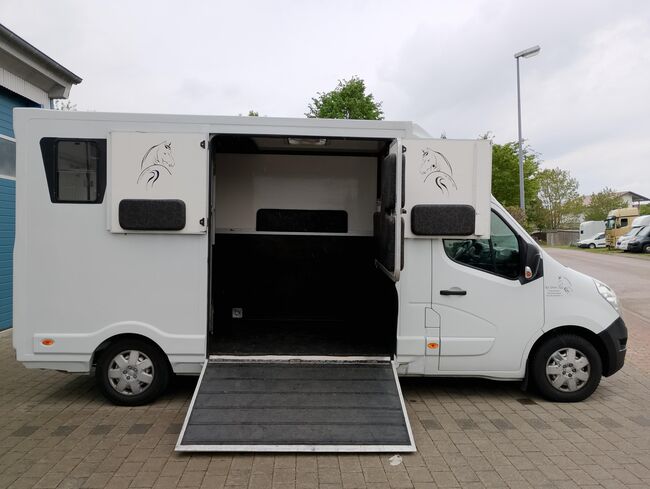 Pferdetransporter Renault 3,5t Hengstausstattung Viehtransporter, Renault Master Renault Master Hengst, Gerhard Strobel (Dickenherr Trucks und Trailers), Horse Trailers, Baden-Württemberg - Unterschneidheim, Image 6
