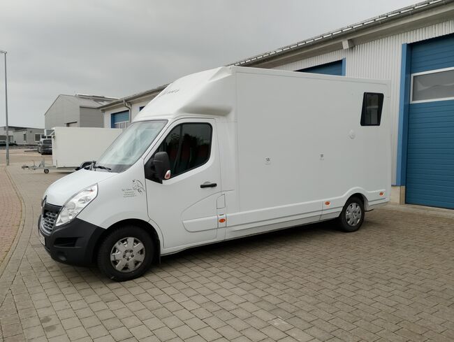 Pferdetransporter Renault 3,5t Hengstausstattung Viehtransporter, Renault Master Renault Master Hengst, Gerhard Strobel (Dickenherr Trucks und Trailers), Horse Trailers, Baden-Württemberg - Unterschneidheim, Image 12