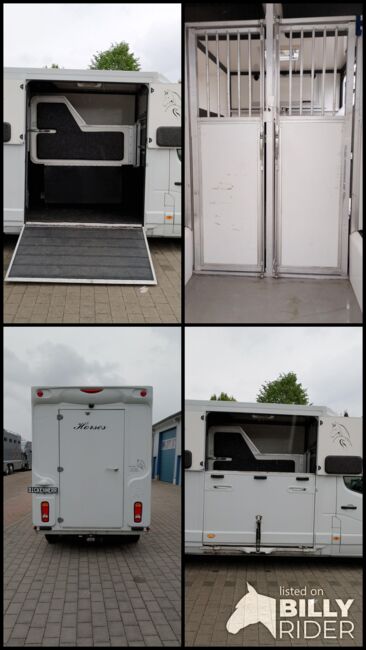 Pferdetransporter Renault 3,5t Hengstausstattung Viehtransporter, Renault Master Renault Master Hengst, Gerhard Strobel (Dickenherr Trucks und Trailers), Horse Trailers, Baden-Württemberg - Unterschneidheim, Image 19