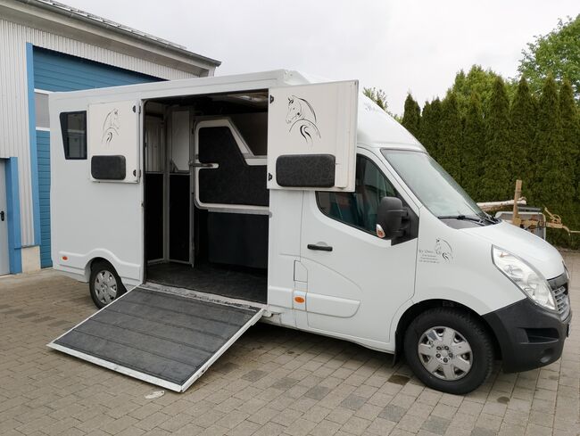Pferdetransporter Renault 3,5t Hengstausstattung Viehtransporter, Renault Master Renault Master Hengst, Gerhard Strobel (Dickenherr Trucks und Trailers), Horse Trailers, Baden-Württemberg - Unterschneidheim, Image 15