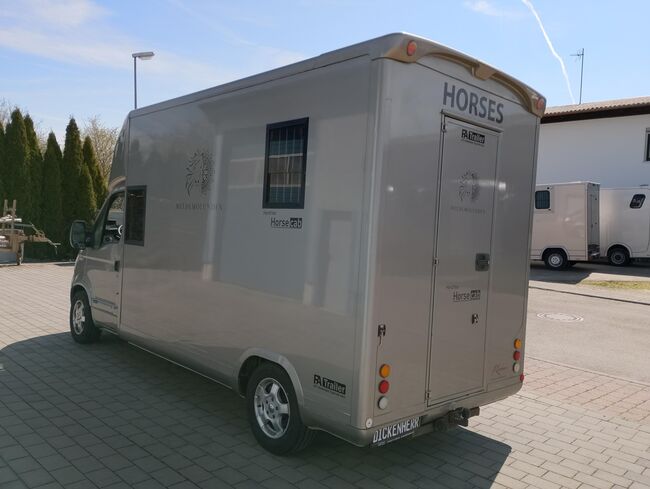 Pferdetransporter Roelofsen Automatik Viehtransporter Klima, Roelofsen Renault Master Roelofsen, Gerhard Strobel (Dickenherr Trucks und Trailers), Horse Trailers, Baden-Württemberg - Unterschneidheim, Image 4