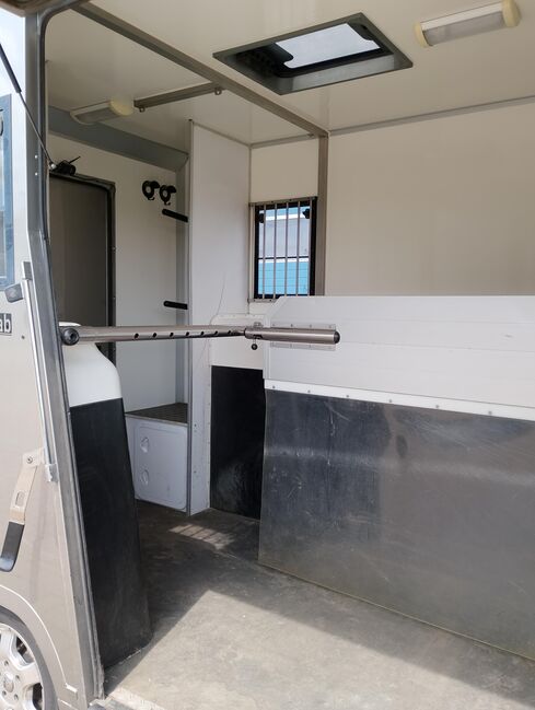 Pferdetransporter Roelofsen Automatik Viehtransporter Klima, Roelofsen Renault Master Roelofsen, Gerhard Strobel (Dickenherr Trucks und Trailers), Horse Trailers, Baden-Württemberg - Unterschneidheim, Image 11