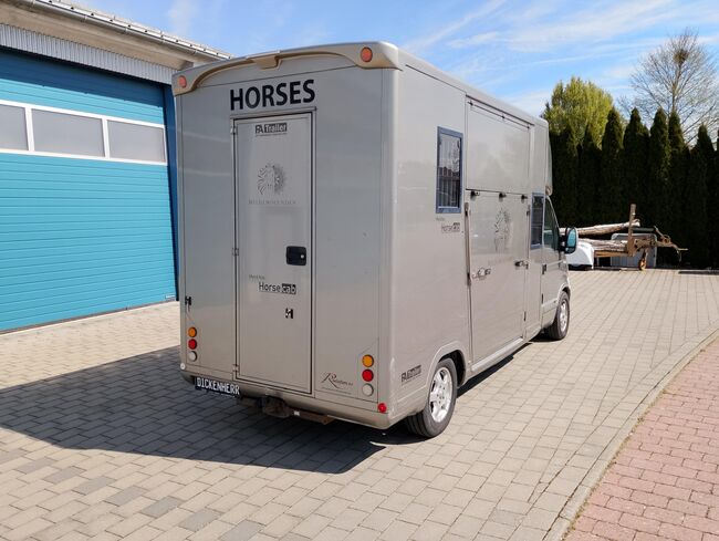 Pferdetransporter Roelofsen Automatik Viehtransporter Klima, Roelofsen Renault Master Roelofsen, Gerhard Strobel (Dickenherr Trucks und Trailers), Horse Trailers, Baden-Württemberg - Unterschneidheim, Image 13