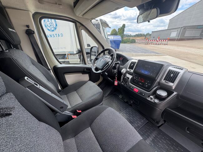 Pferdetransporter Theault Hengstausstattung Automatik 177PS, Fiat Theault Fiat Ducato Hengst, Gerhard Strobel (Dickenherr Trucks und Trailers), Horse Trailers, Baden-Württemberg - Unterschneidheim, Image 4